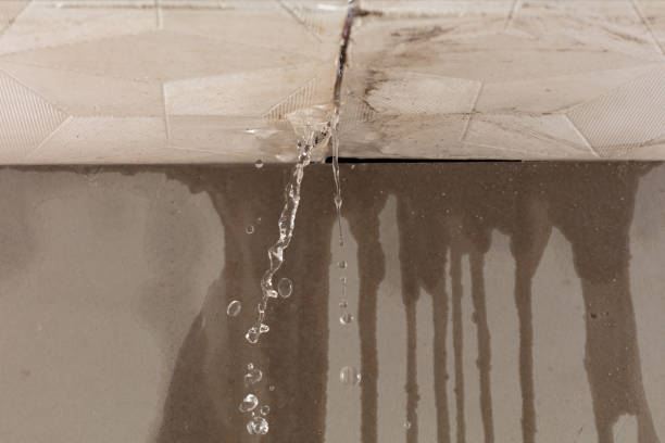 Professional Water Damage Repair technician working in Maypearl, TX